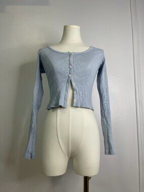 Light Blue Brandy Melville Scoop Neck Long Sleeve Crop Top